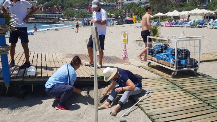 Alanya'da caretta caretta seferberliği