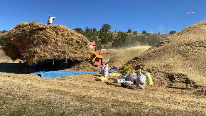 Yozgat’ta mercimek verimi yüzde 30 arttı