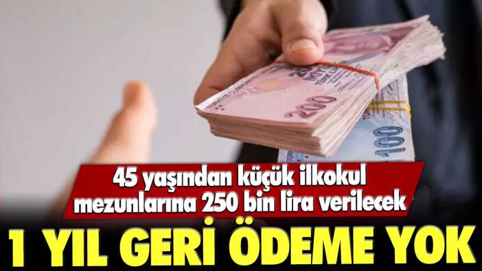 Kırk beş yaşından küçük ilkokul mezunlarına 250 bin lira verilecek: 1 yıl geri ödeme yok