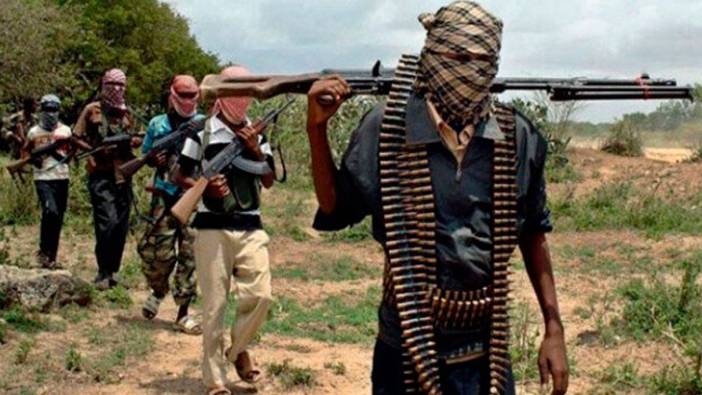 Nijerya'da Boko Haram'dan silahlı saldırı: 11 sivil hayatını kaybetti