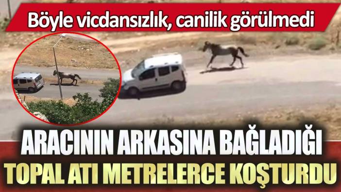 Elazığ’da aracının arkasına bağladığı topal atı metrelerce koşturdu: Böyle vicdansızlık, canilik görülmedi