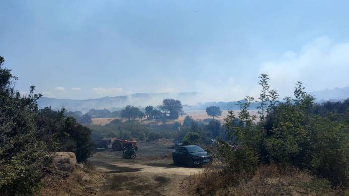 Çanakkale'de orman yangını!