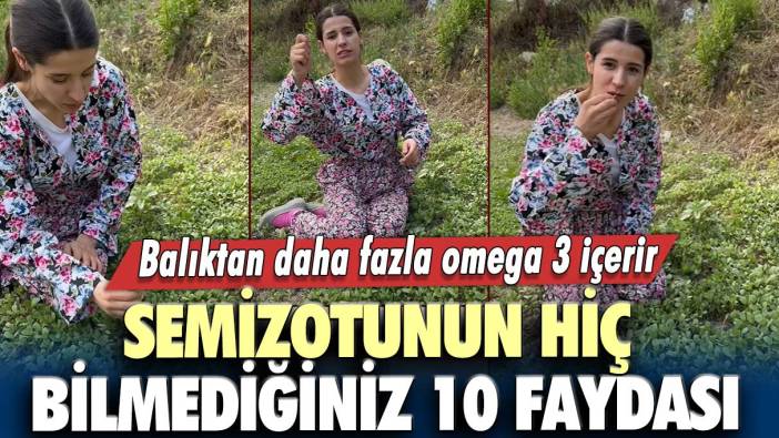 Balıktan daha fazla omega 3 içerir: Semizotunun hiç bilmediğiniz 10 faydası