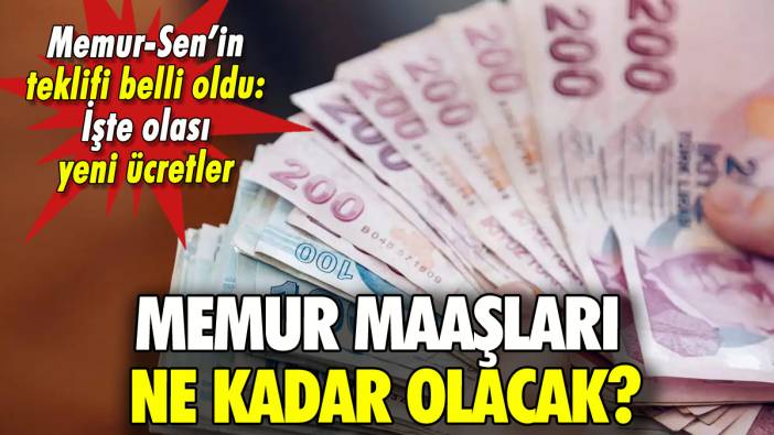 Memur maaşları ne kadar olacak? İşte Memur-Sen'in teklif tablosu