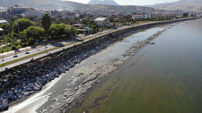 Van Gölü'nde korkutan manzara: Giderek artıyor!