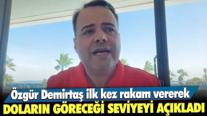 Her dediği çıkan ünlü ekonomist Özgür Demirtaş ilk kez rakam vererek doların göreceği seviyeyi açıkladı