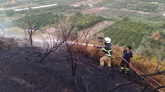 Hatay'da ağaçlık ve makilik alanda yangın