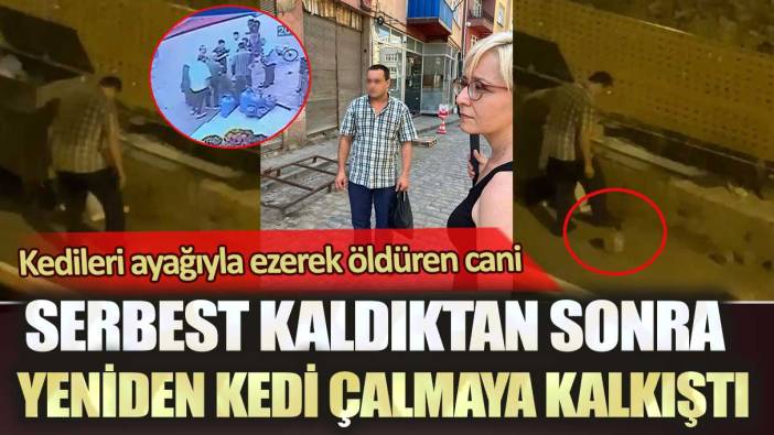 Trabzon’da kedileri ayağıyla ezerek öldüren cani serbest kaldıktan sonra yeniden kedi çalmaya kalkıştı