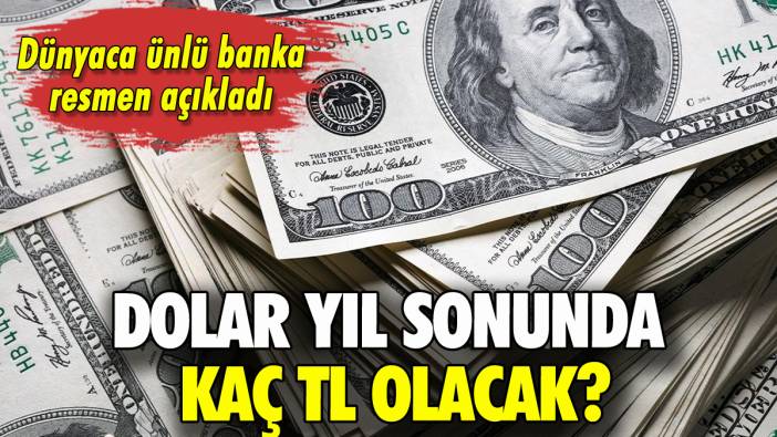 Dolar yıl sonunda kaç TL olacak? Ünlü banka resmen açıkladı