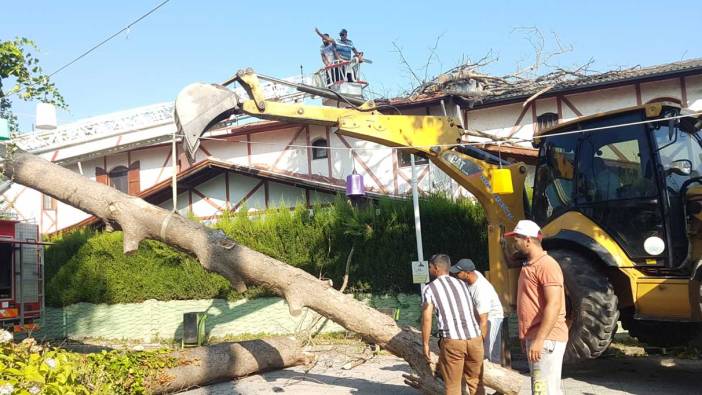 Asırlık çınar ağacı villanın çatısına devrildi