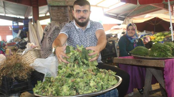 Kastamonu'da yaş fındıklar tezgaha indi: İşte kilo fiyatı