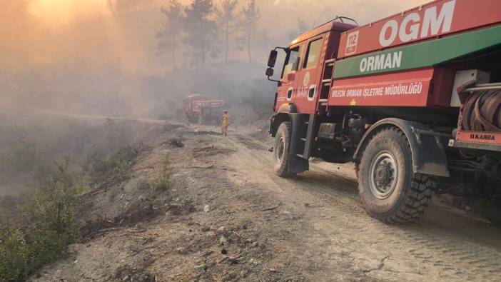 Bilecik'te korkutan orman yangını