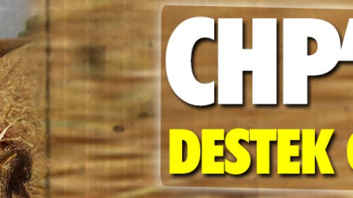 CHP’den ‘mısır üreticisine destek’ çağrısı!