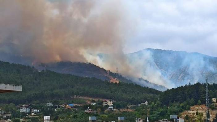 Hatay'da orman yangını