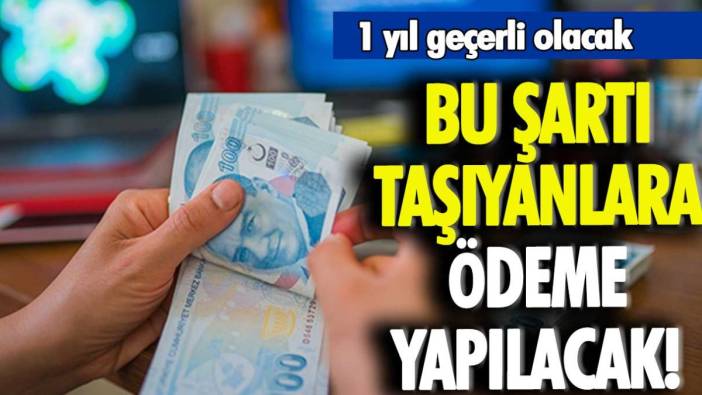 Bu şartı karşılayan vatandaşa 1 yıl ödeme yapılacak