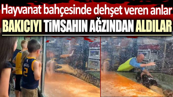 Hayvanat bahçesinde dehşet veren anlar! Bakıcıyı timsahın ağzından aldılar