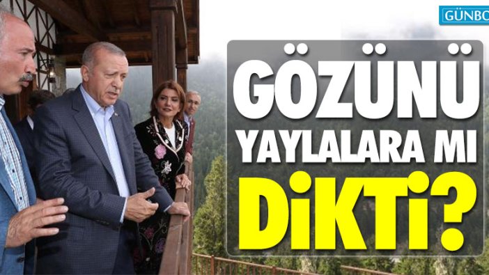 Erdoğan gözünü yaylalara mı dikti?