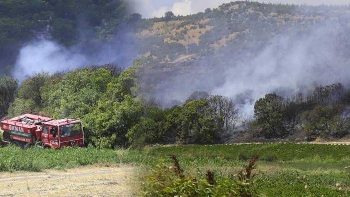 Balıkesir'in Altıeylül ilçesinde çıkan orman yangını kontrol altına alındı