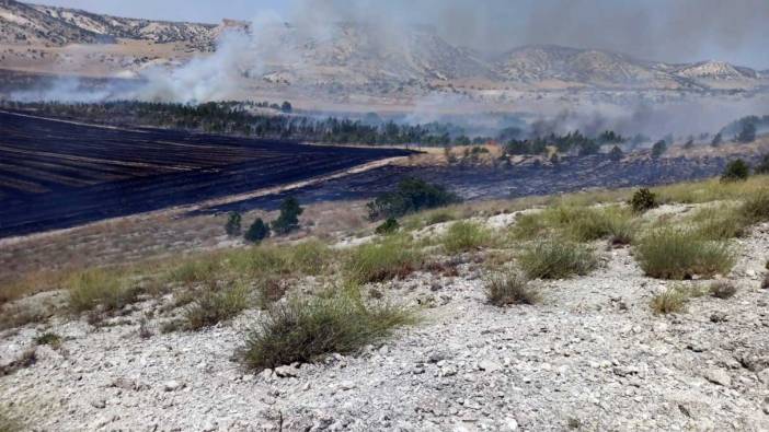 Eskişehir’de 3 farklı noktada orman yangını çıktı