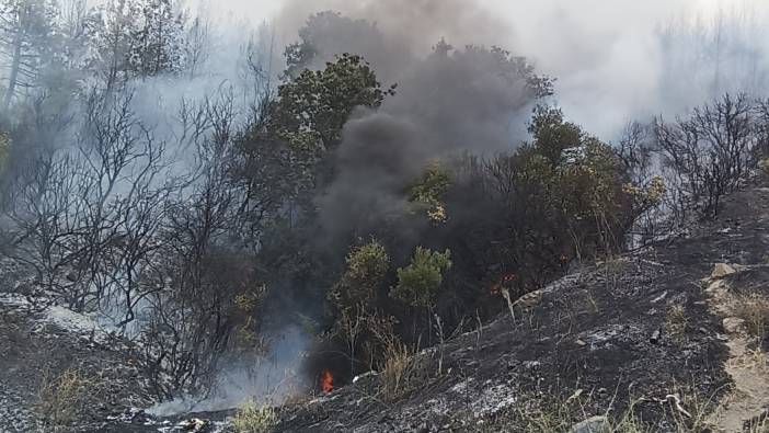 Çanakkale'de orman yangını