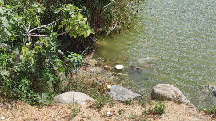 Bakırköy Botanik Park'ta korkutan manzara: Tek tek ölüyorlar!