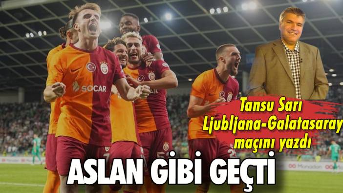 Aslan gibi geçti: Tansu Sarı yazdı