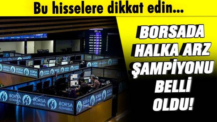 Borsada halka arz şampiyonları belli oldu: Bu hisselere dikkat