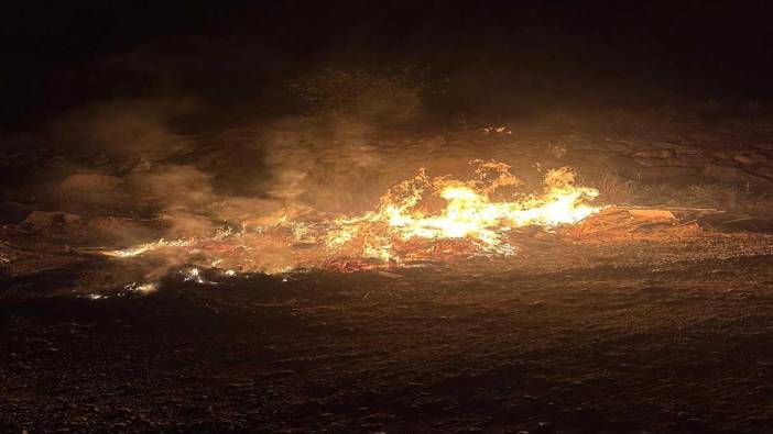 Hatay'da çıkan orman yangını kontrol altına alındı