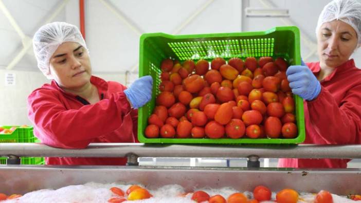 Efelerli kadınların ürettikleri ürünler halkın beğenisine sunuldu