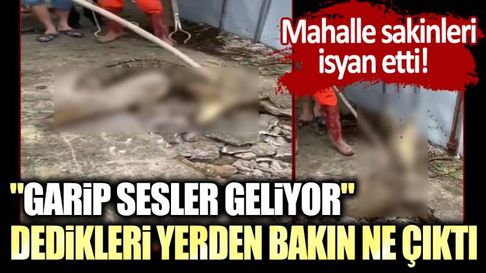 Mahalle sakinleri isyan etti!  "Garip sesler geliyor" dedikleri yerden bakın ne çıktı