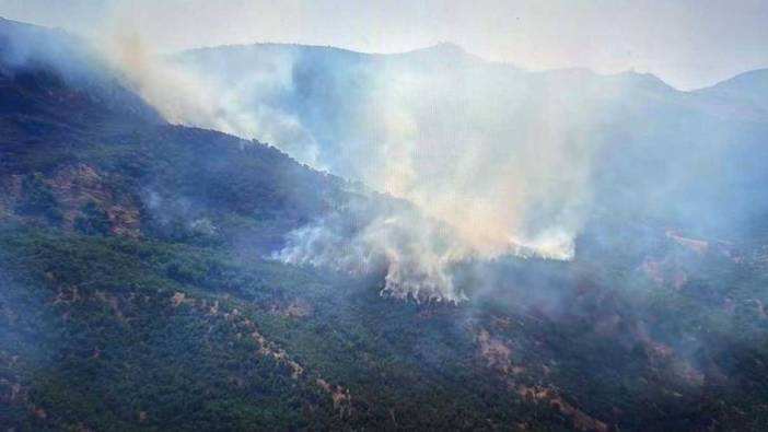 Siirt'teki orman yangını 52 saat sonra kontrol altına alındı