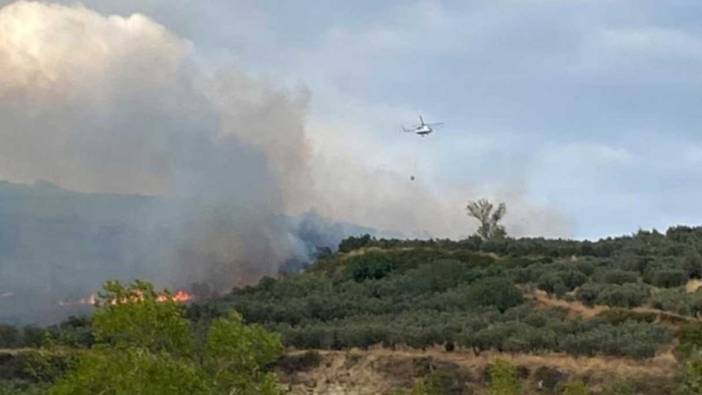 Tekirdağ'da makilik alanda çıkan yangın söndürüldü