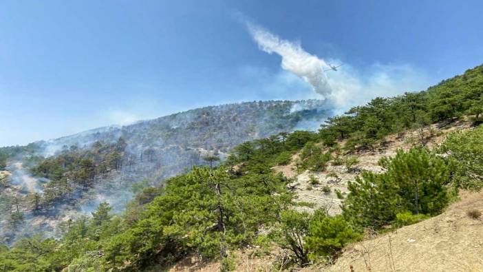 Bolu’daki orman yangına müdahale sürüyor