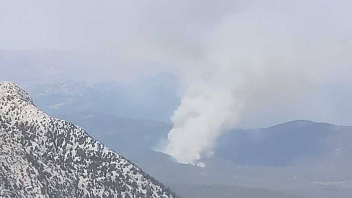 Antalya'da orman yangını