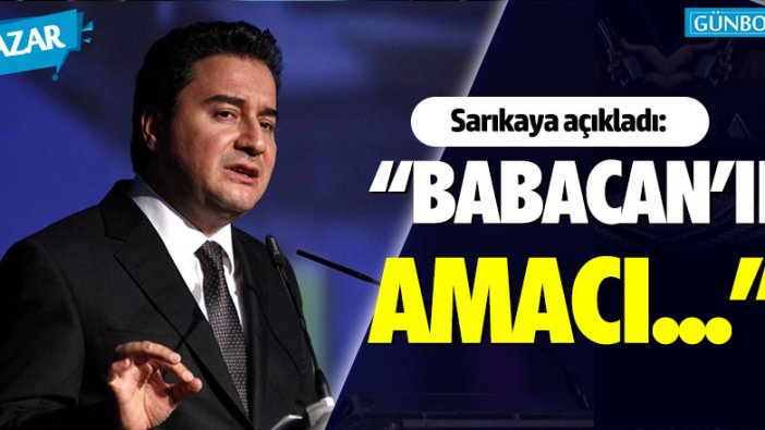 Muharrem Sarıkaya: "Ali Babacan'ın amacı..."