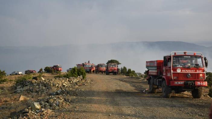 Eskişehir'de çıkan orman yangını kontrol altında