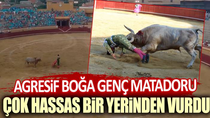 Agresif boğa genç matadoru çok hassas bir yerinden vurdu