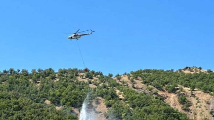 Bingöl'deki orman yangınının kontrol altına alındığı duyuruldu