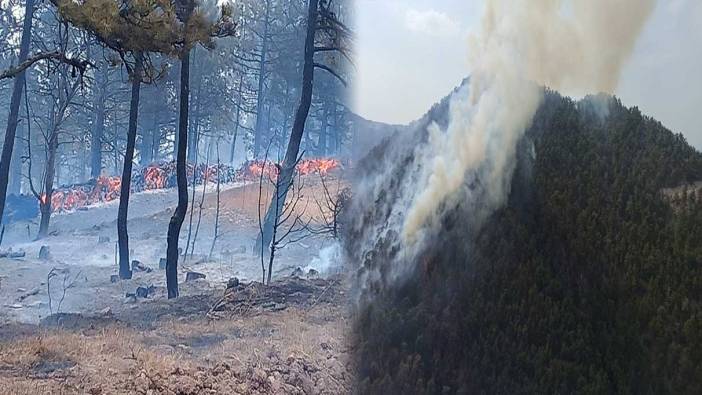 Bolu’da aynı ilçede 2 farklı orman yangını