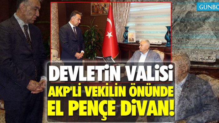 Devletin valisi, AKP'li vekilin önünde el pençe divan!