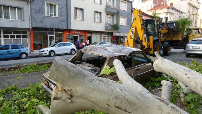 Tavşanlı'da asırlık ağacın dalı kırılarak araçların üzerine düştü