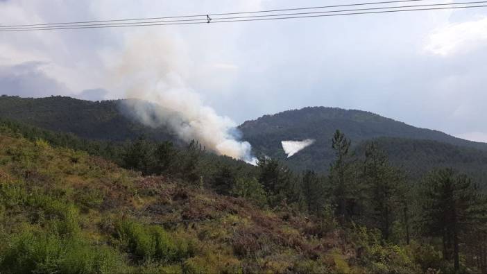 Bolu'da orman yangını