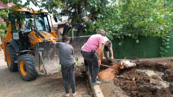 Çamurda mahsur kalan kişi, iş makinesiyle kurtarıldı