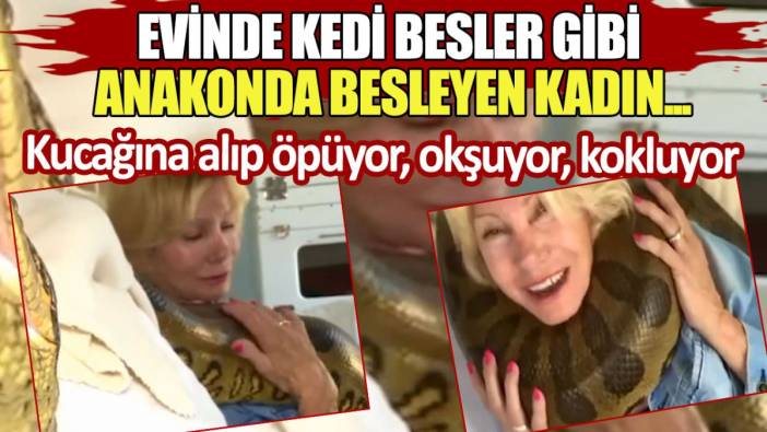 Evinde kedi besler gibi anakonda besleyen kadın... Kucağına alıp öpüyor, okşuyor, kokluyor