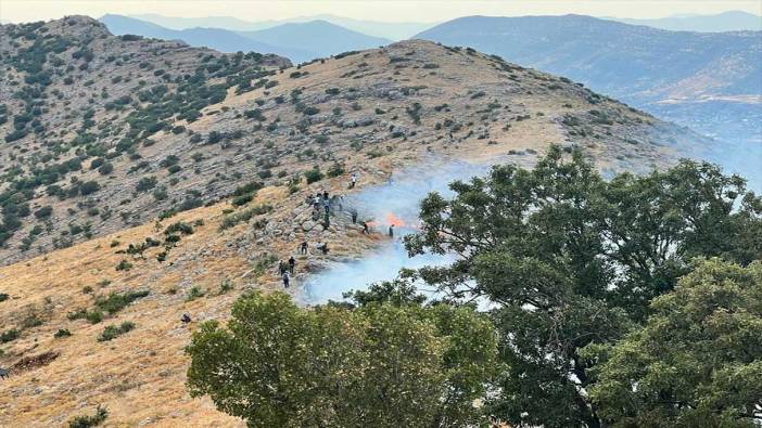 Diyarbakır'ın Hani ilçesinde çıkan orman yangını söndürüldü