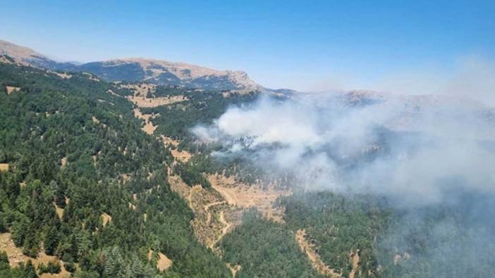 Kahramanmaraş'ta orman yangını! Ekiplerin müdahalesi devam ediyor