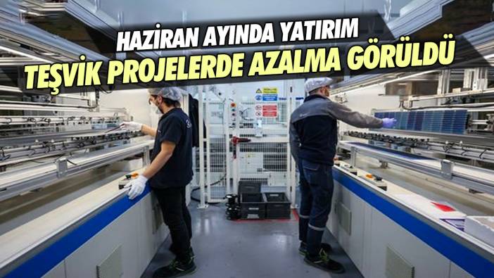 Haziran ayında yatırım teşvikli projelerde azalma gözlendi