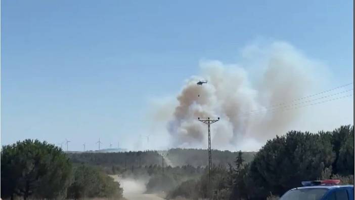 Silivri’de ormanlık alanda yangın