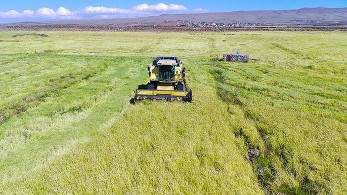 TİM Başkanı Gültepe: Gıda ve tarımsal ürün ihracatımızı 2028'de 50 milyar dolara çıkaracağız