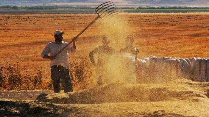 Haziranda tarımsal girdi fiyat endeksi yıllık yüzde 27,70 arttı